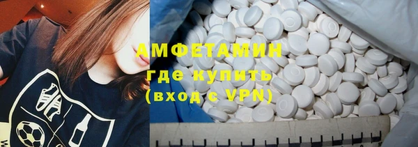 твердый Заводоуковск