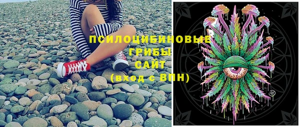 гашик Аркадак