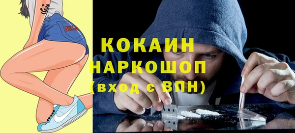 гашик Аркадак