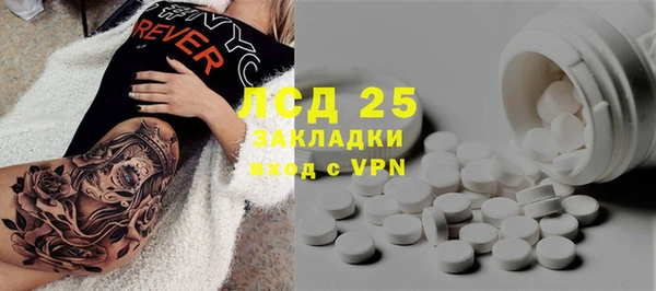 гашик Аркадак